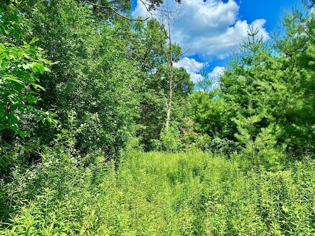 0 County Road 20, Hillsdale Twp, MN 55969