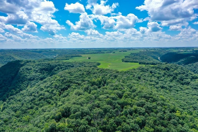 0 County Road 20, Hillsdale Twp, MN 55969