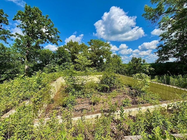 0 County Road 20, Hillsdale Twp, MN 55969