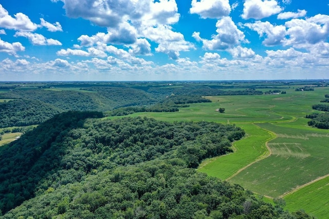 0 County Road 20, Hillsdale Twp, MN 55969