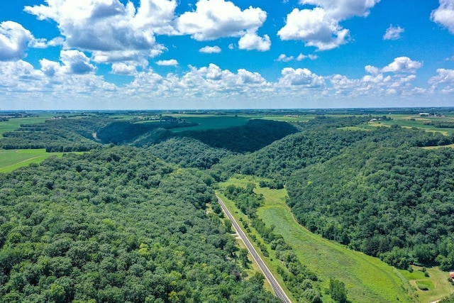 0 County Road 20, Hillsdale Twp, MN 55969