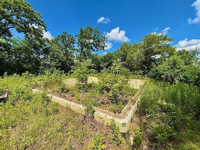 0 County Road 20, Hillsdale Twp, MN 55969