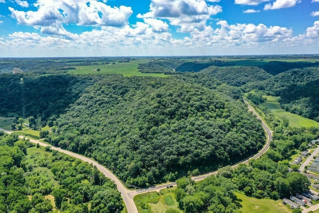 0 County Road 20, Hillsdale Twp, MN 55969