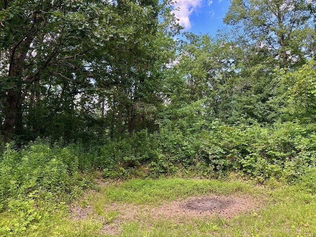 0 County Road 20, Hillsdale Twp, MN 55969