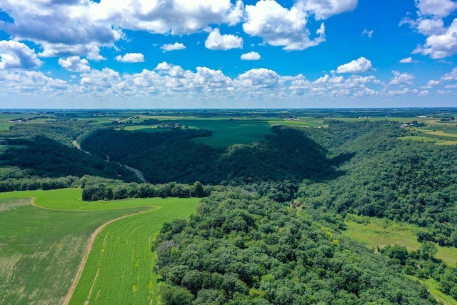 0 County Road 20, Hillsdale Twp, MN 55969