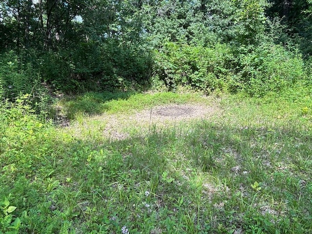 0 County Road 20, Hillsdale Twp, MN 55969