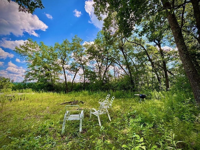 0 County Road 20, Hillsdale Twp, MN 55969