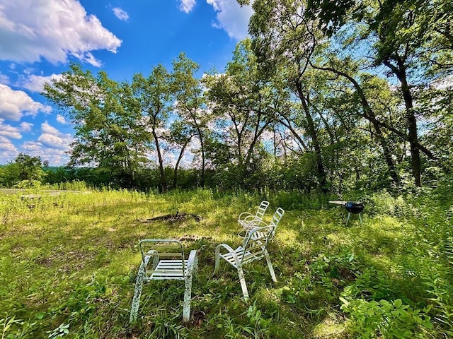 0 County Road 20, Hillsdale Twp, MN 55969