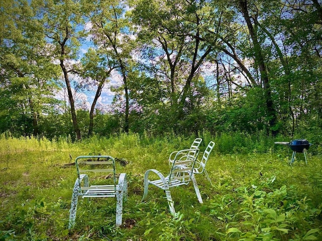 0 County Road 20, Hillsdale Twp, MN 55969