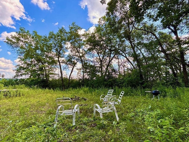 0 County Road 20, Hillsdale Twp, MN 55969