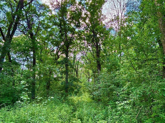 0 County Road 20, Hillsdale Twp, MN 55969
