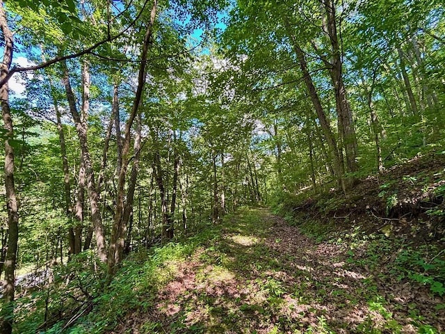 0 County Road 20, Hillsdale Twp, MN 55969