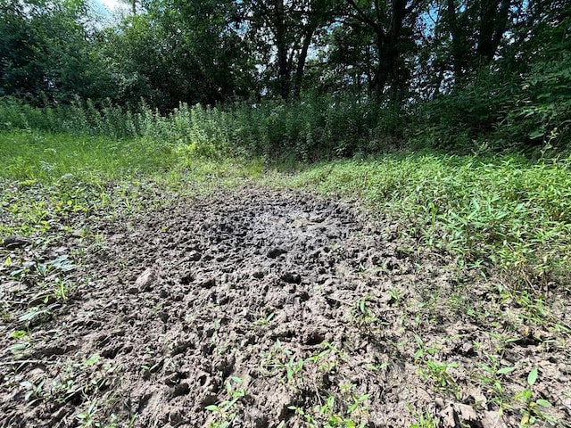 0 County Road 20, Hillsdale Twp, MN 55969