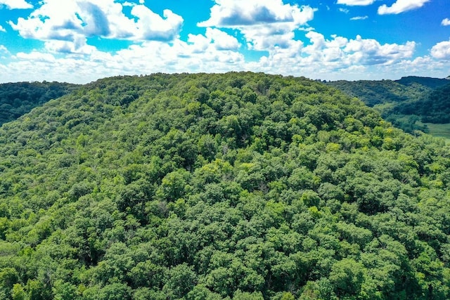 0 County Road 20, Hillsdale Twp, MN 55969