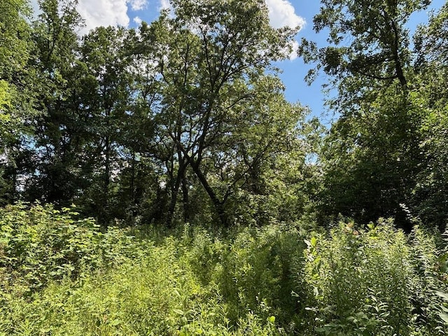 0 County Road 20, Hillsdale Twp, MN 55969