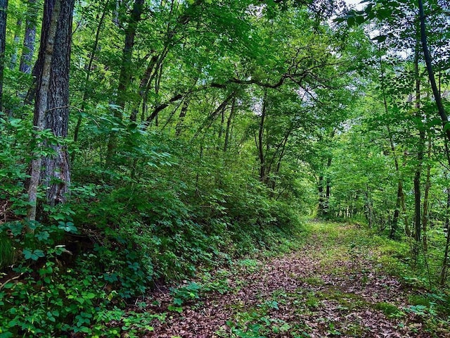 0 County Road 20, Hillsdale Twp, MN 55969