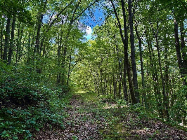 0 County Road 20, Hillsdale Twp, MN 55969