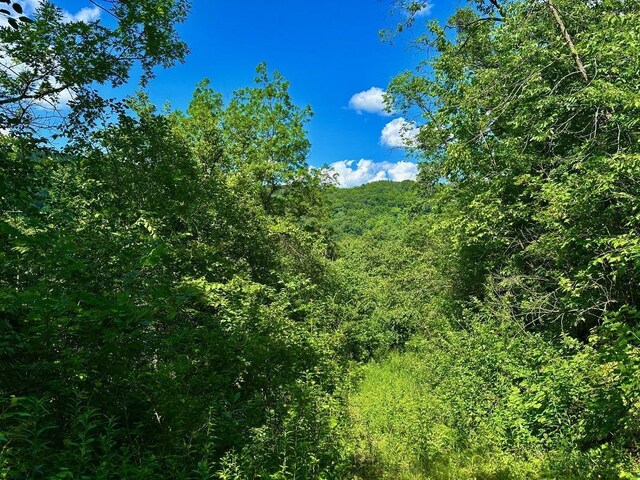 0 County Road 20, Hillsdale Twp, MN 55969