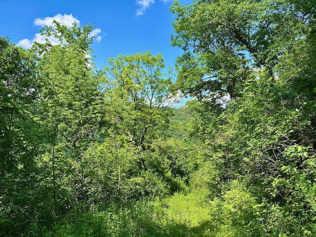 0 County Road 20, Hillsdale Twp, MN 55969