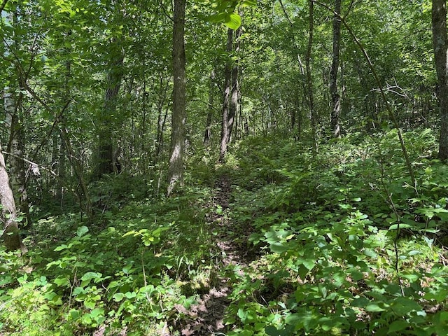 0 County Road 20, Hillsdale Twp, MN 55969
