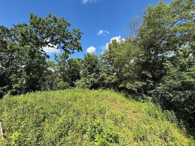 0 County Road 20, Hillsdale Twp, MN 55969