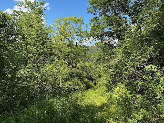 0 County Road 20, Hillsdale Twp, MN 55969