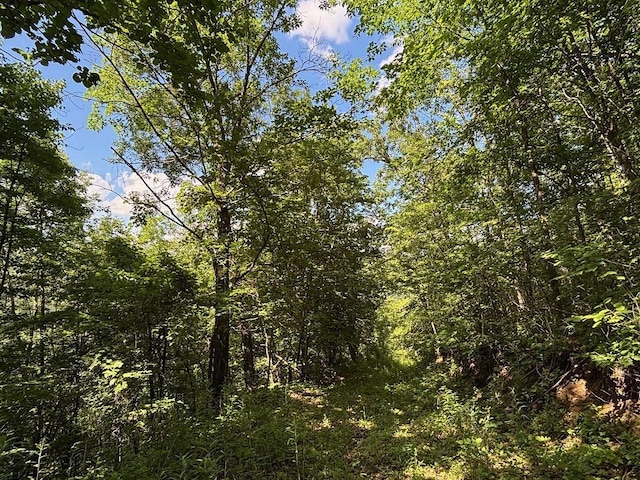 0 County Road 20, Hillsdale Twp, MN 55969