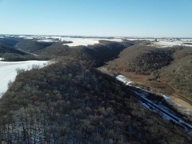 0 County Road 20, Hillsdale Twp, MN 55969