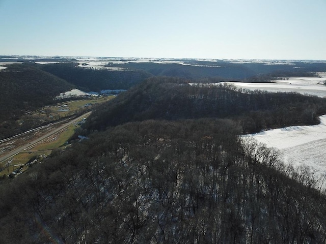 0 County Road 20, Hillsdale Twp, MN 55969