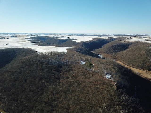 0 County Road 20, Hillsdale Twp, MN 55969