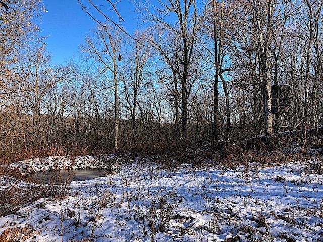 0 County Road 20, Hillsdale Twp, MN 55969