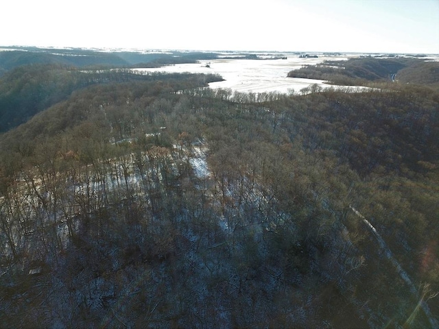 0 County Road 20, Hillsdale Twp, MN 55969