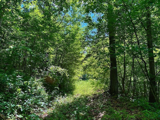 0 County Road 20, Hillsdale Twp, MN 55969