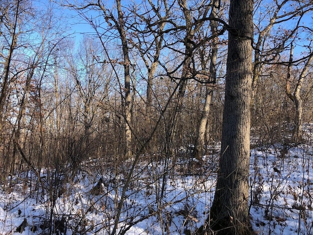 0 County Road 20, Hillsdale Twp, MN 55969