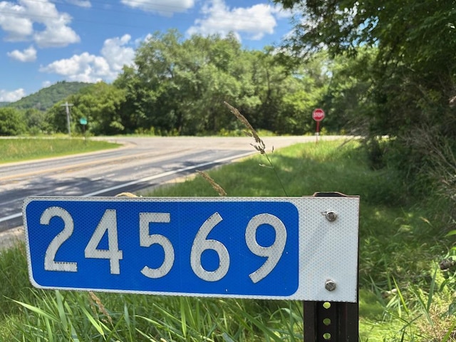 0 County Road 20, Hillsdale Twp, MN 55969