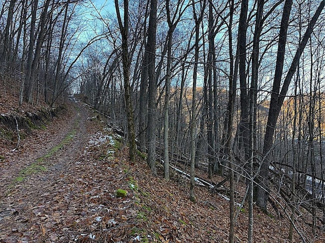 0 County Road 20, Hillsdale Twp, MN 55969