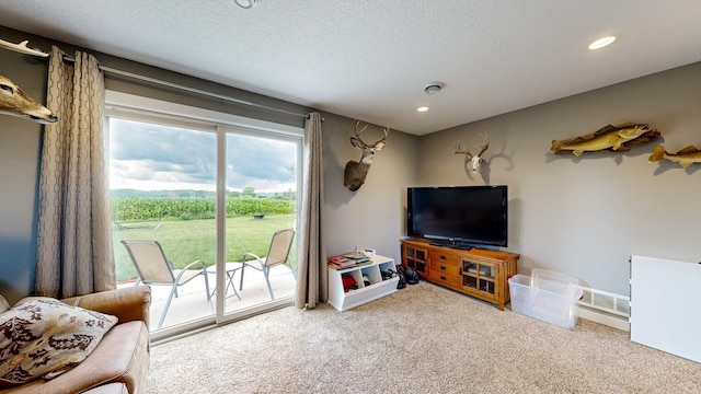 1280 Lone Stone Ct SE, Chatfield, MN 55923 - carpeted living area featuring a textured ceiling and recessed lighting