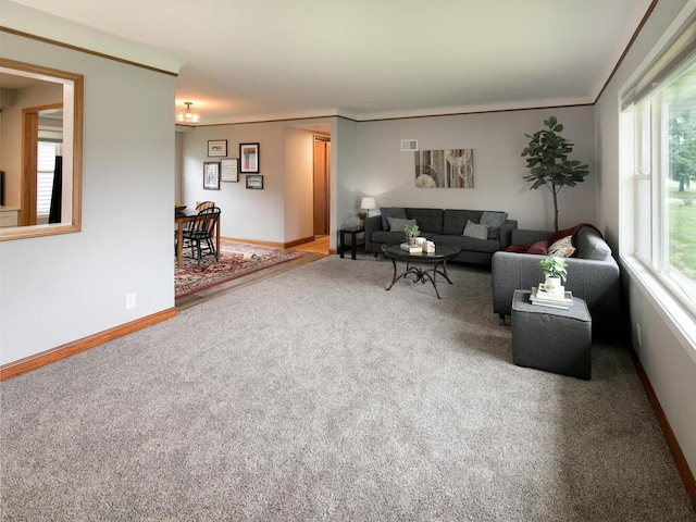 805 6th St, Farmington, MN 55024 - photo 3