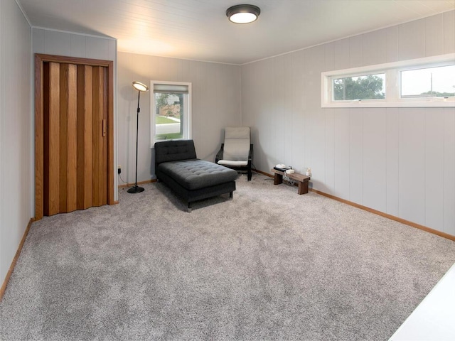 805 6th St, Farmington, MN 55024 - photo 9