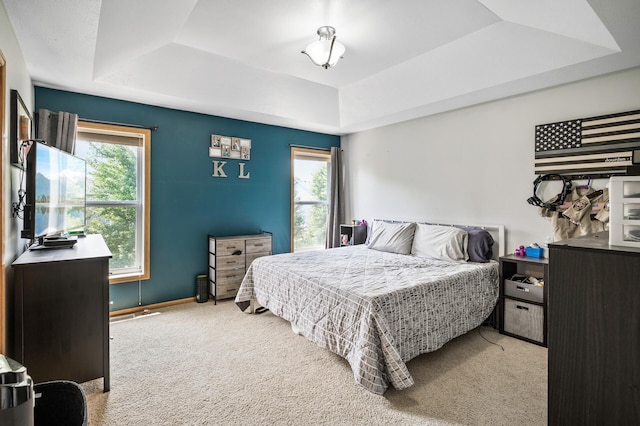 11259 69th St NE, Albertville, MN 55301 - bedroom with a raised ceiling and carpet floors