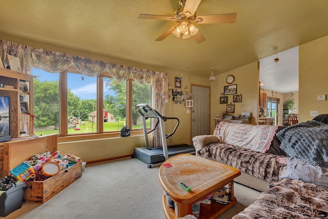 43054 105th Ave, Brockway Twp, MN 56367 - living room featuring carpet flooring, a ceiling fan, and a textured ceiling