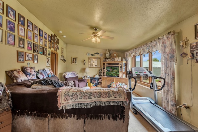 43054 105th Ave, Brockway Twp, MN 56367 - carpeted living room with ceiling fan and a textured ceiling
