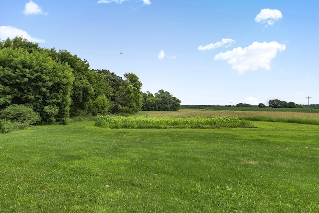 43054 105th Ave, Brockway Twp, MN 56367 - view of green lawn with a view of countryside