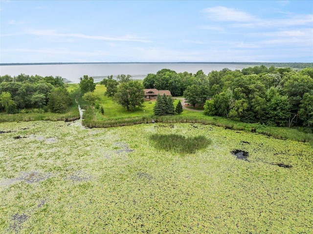 11292 Half Moon Dr, Merrifield, MN 56465 - photo 51