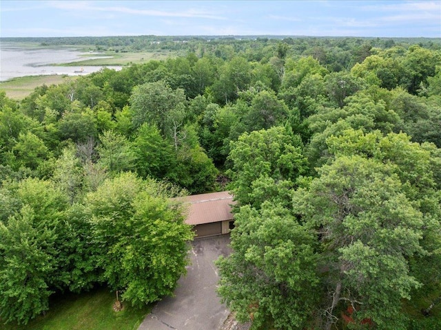 11292 Half Moon Dr, Merrifield, MN 56465 - photo 58