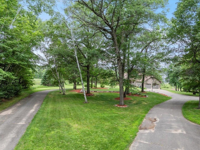 11292 Half Moon Dr, Merrifield, MN 56465 - photo 59