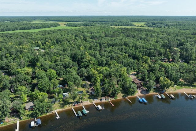 17328 Paradise Shores Rd, Brainerd, MN 56401 - photo 38