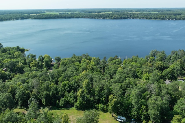 17328 Paradise Shores Rd, Brainerd, MN 56401 - photo 42