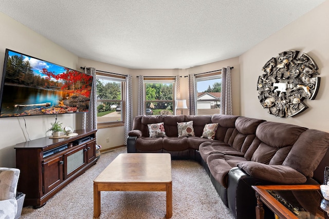 973 Mcclelland St S, Maplewood, MN 55119 - photo 5