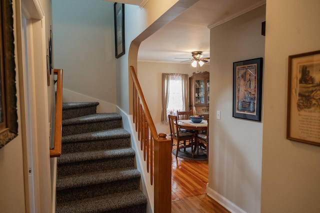 515 Hampton St, Fairmont, MN 56031 - photo 19